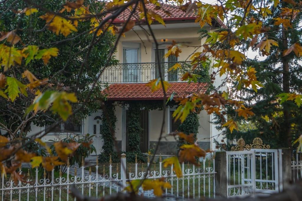 Woods Cottage Loutra Pozar Aridaia Megaplatanos Екстериор снимка